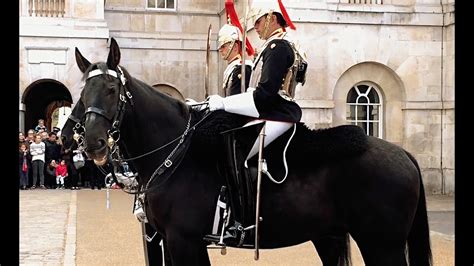 royal horse guards youtube